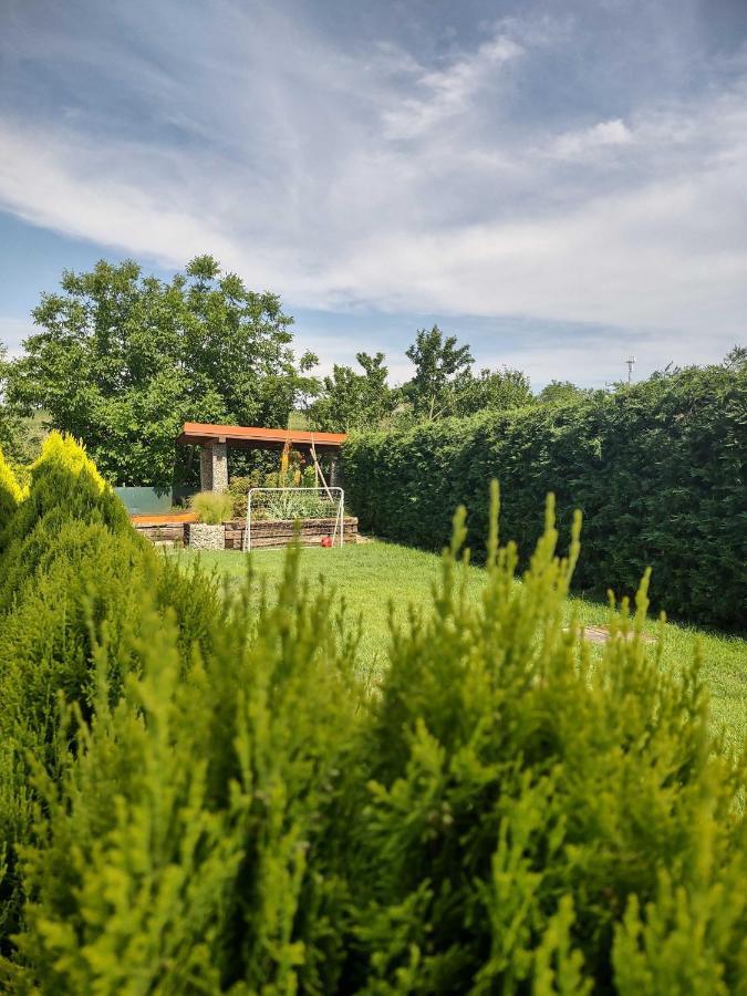 Privat Arcadia Apartment Podhájska Екстериор снимка